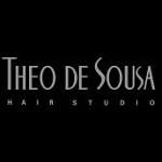 Theo de Sousa - Parque São Domingos